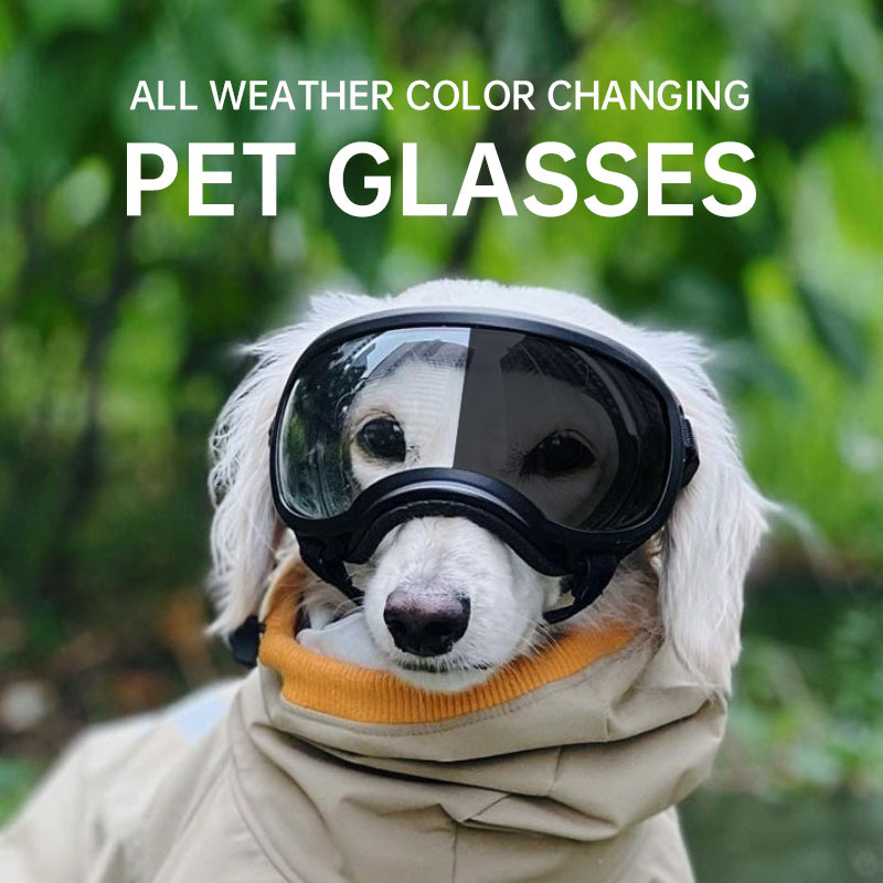 Очки для собак, меняющие цвет, – обзор и цена Snow Goggle Uv