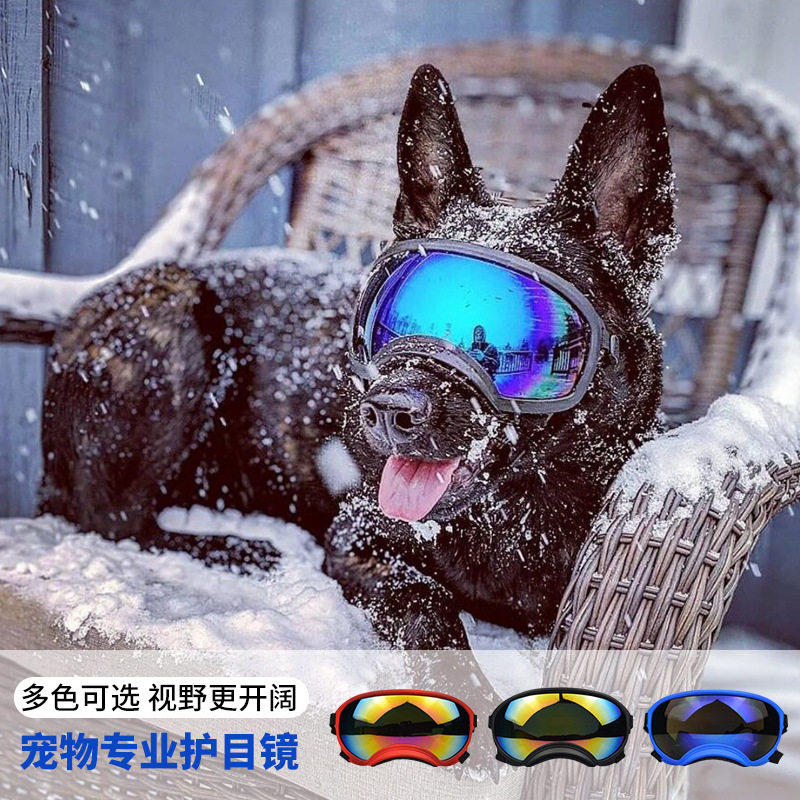 Очки для собак: для активного  – обзор и цена Snow Goggle Uv